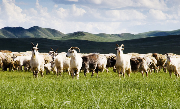 持續(xù)研發(fā)，自主專(zhuān)利